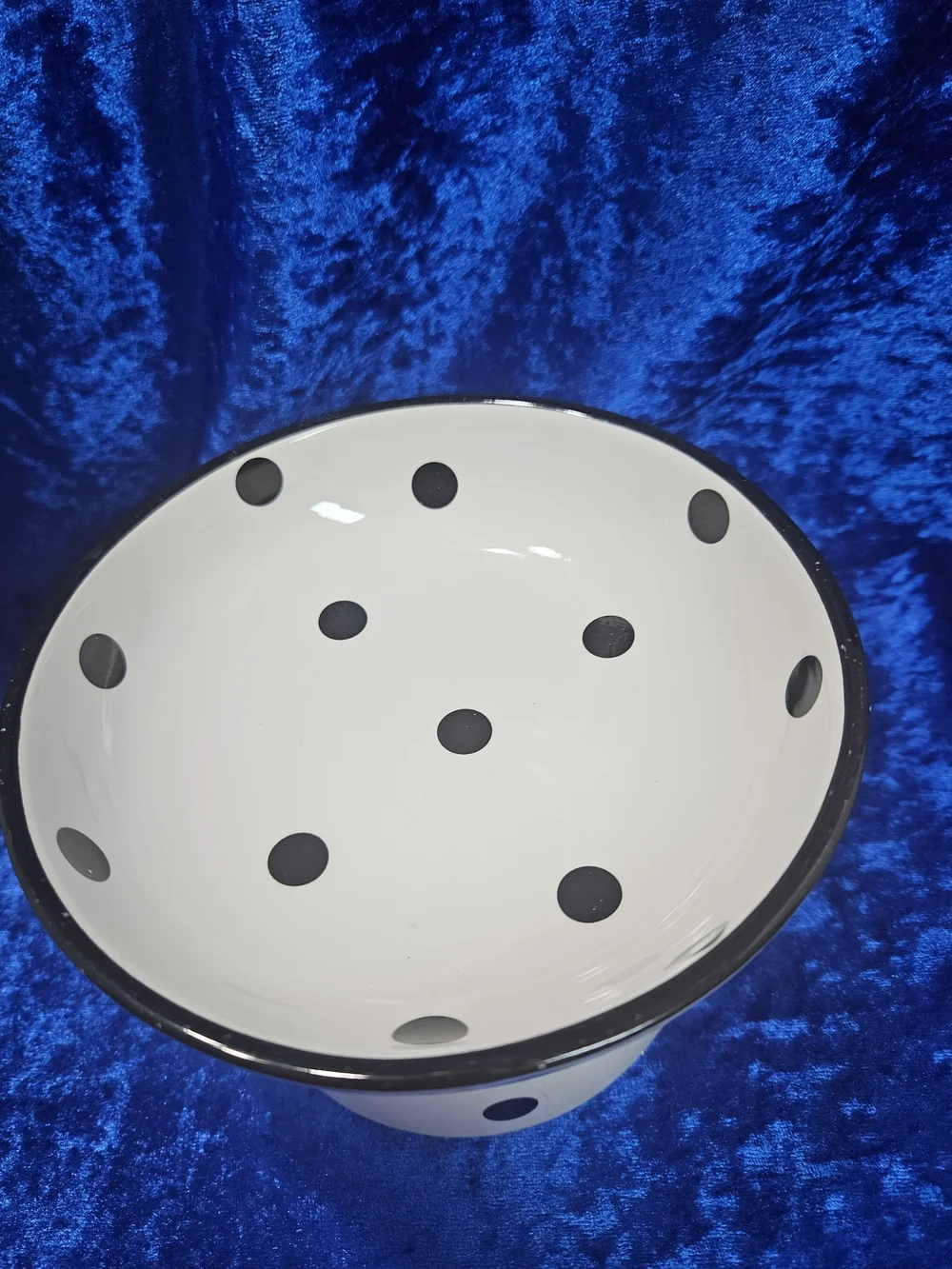 Dexypaws Black and White Polka Dot Elevated Ceramic Cat Dish